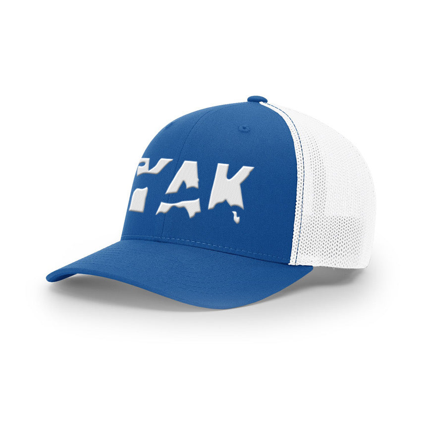 YAK Blue/white mesh fitted